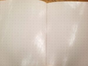 Pagine per Bullet Journal